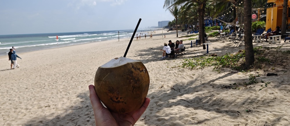 Coconut Is Life - Shitcoin Swap Sets Conservative 6% Annual Growth Target